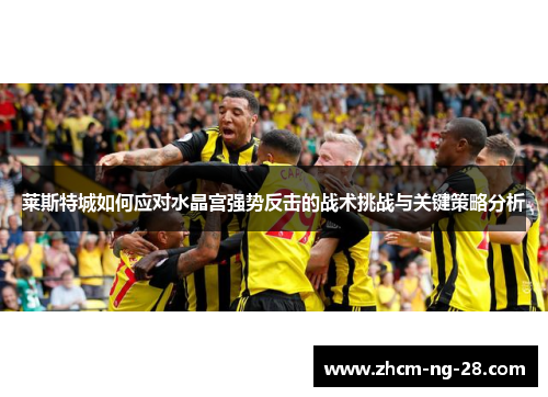 莱斯特城如何应对水晶宫强势反击的战术挑战与关键策略分析 莱斯特城如何应对水晶宫强势反击的战术挑战与关键策略分析