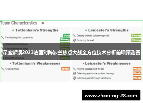 深度解读2023法国对阵波兰焦点大战全方位技术分析前瞻预测赛